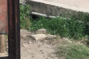 Imagem ilustrativa da imagem Homem encontrado morto e amarrado dentro do Canal do Fragoso, em Olinda