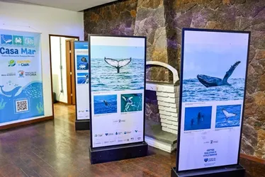 Imagem ilustrativa da imagem Novo centro de pesquisas do mar