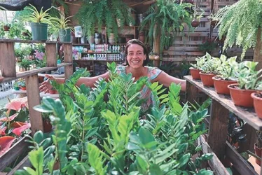 Imagem ilustrativa da imagem O poder das plantas medicinais das cavernas do ES