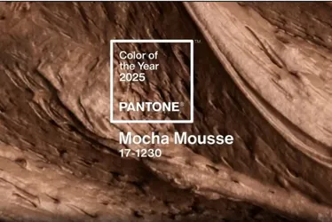 Imagem ilustrativa da imagem Pantone declara 'Mocha Mousse', marrom suave e evocativo, como a cor do ano