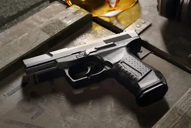 Imagem ilustrativa da imagem Autorizações de porte de arma para uso pessoal caem 30% em 2024, diz PF