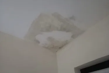 Imagem ilustrativa da imagem Falta de pedreiros adia reformas e aumenta custos de obras no Espírito Santo