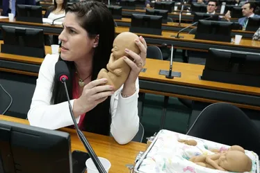 Imagem ilustrativa da imagem Sessão da PEC do Aborto tem boneco de feto e grito de 'estuprador não é pai'