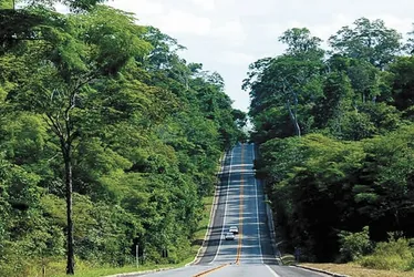 Imagem ilustrativa da imagem Trecho da BR-101 que passa pela Reserva de Sooretama terá redução de velocidade