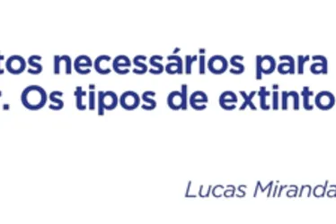Imagem ilustrativa da imagem Uma turma muito especial