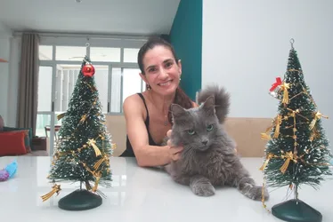 Imagem ilustrativa da imagem Veterinários apontam cuidados com os pets nas festas de fim de ano