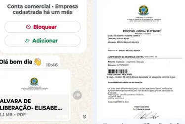 Imagem ilustrativa da imagem Vigaristas fingem ser advogados em golpes