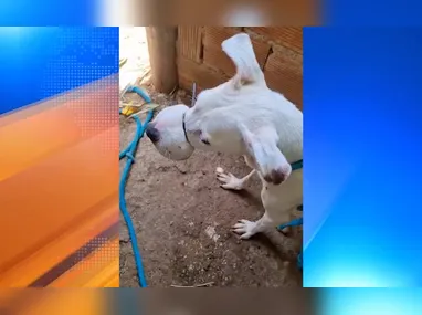 Carro foi esmagado entre duas carretas em acidente ocorrido nesta segunda-feira, em Anchieta