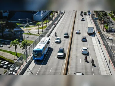 Bolha inflável em que os pequenos podem dar cambalhotas, correr, andar e girar junto com ela, sem se molhar