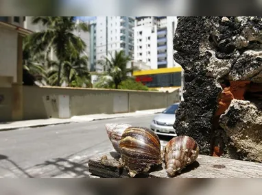 Pista foi parcialmente interditada