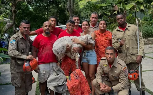 
          Imagem ilustrativa da imagem Anitta encontra seu cachorro Charlie após sumiço na noite de Natal
          