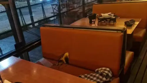 
          Imagem ilustrativa da imagem Aparelho de fondue explode e queima cliente em restaurante de Balneário Camboriú
          