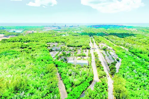 
          Imagem ilustrativa da imagem ArcelorMittal investe R$ 1,9 bilhão na redução de emissões
          