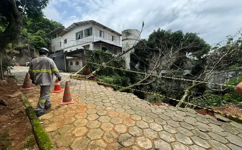 
          Imagem ilustrativa da imagem Árvores caem, atingem muro e parte da fiação em Vitória por conta da chuva
          