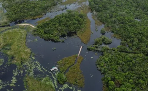 
          Imagem ilustrativa da imagem Aumento de lagoa fecha trilhas do Parque Estadual Paulo César Vinha
          