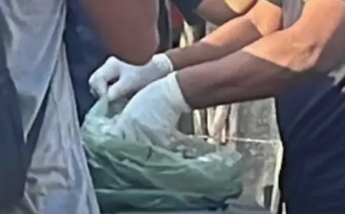 
          Imagem ilustrativa da imagem Bebê e jovem de 17 anos morrem por suspeita de envenenamento no Piauí
          