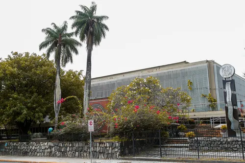 
          Imagem ilustrativa da imagem Biblioteca Pública de Pernambuco oferece programação de férias
          