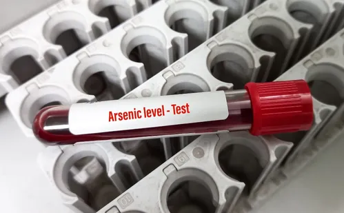 
          Imagem ilustrativa da imagem Bolo contaminado com arsênio: entenda risco da substância
          