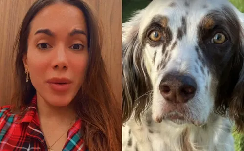 
          Imagem ilustrativa da imagem Cachorro de Anitta some na noite de Natal: 'ainda vai me matar do coração'
          