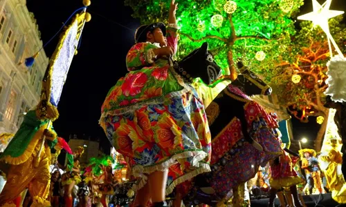 
          Imagem ilustrativa da imagem Ciclo natalino da Prefeitura do Recife apresenta mais 64 atrações até o dia 29
          