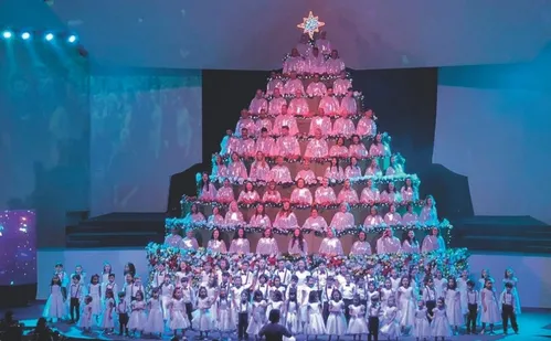 
          Imagem ilustrativa da imagem Convites para a “Árvore que Canta” a partir de segunda-feira
          