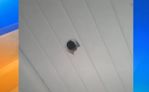 
          Imagem ilustrativa da imagem Criança é baleada dentro de casa durante a virada do ano
          