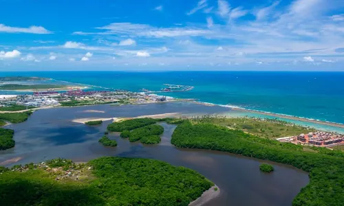 
          Imagem ilustrativa da imagem Cumprindo o dever de casa: 58 cidades de Pernambuco com baixa incidência de dengue
          