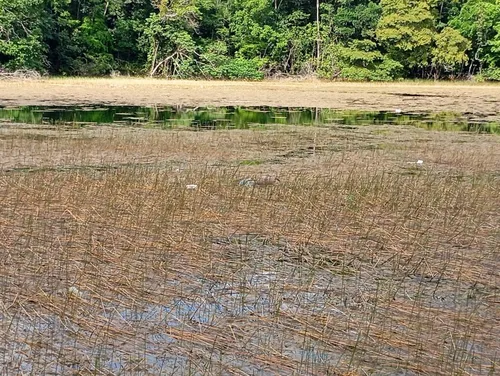 
          Imagem ilustrativa da imagem Encontrados corpos dos dois jovens que estavam desaparecidos no Açude do Prata
          