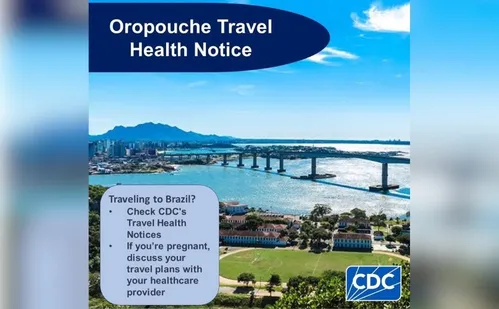 
          Imagem ilustrativa da imagem Febre do Oropouche: órgão de saúde dos EUA alerta sobre risco de viagens ao ES
          