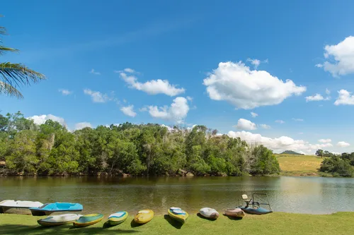 
          Imagem ilustrativa da imagem Flamboyant entre os 10 melhores
          