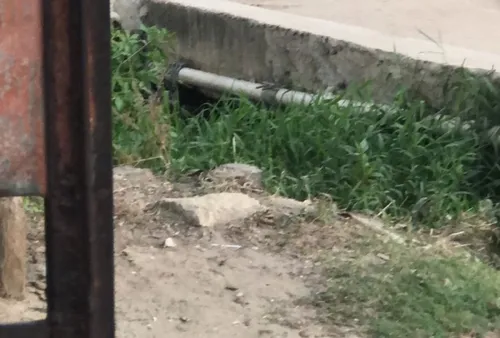 
          Imagem ilustrativa da imagem Homem encontrado morto e amarrado dentro do Canal do Fragoso, em Olinda
          