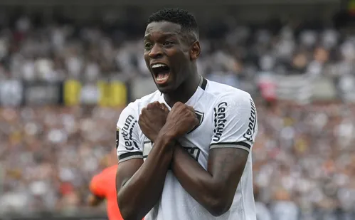 
          Imagem ilustrativa da imagem Luiz Henrique: o herói do Fogão na final da Libertadores
          