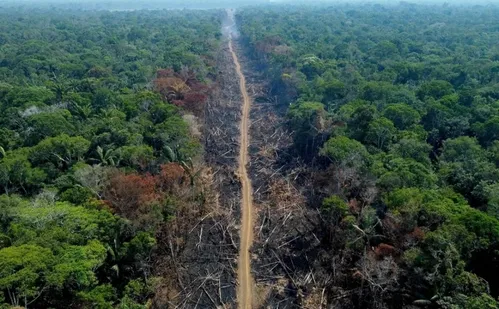 
          Imagem ilustrativa da imagem MPF acusa 647 réus por emissão de carbono em desmate na amazônia
          