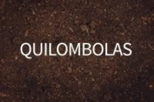 
          Imagem ilustrativa da imagem MPF defende regularização fundiária do território quilombola Morro da Onça (ES)
          