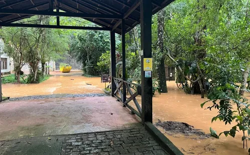 
          Imagem ilustrativa da imagem Museu de Biologia de Santa Teresa suspende visitas após enchente
          