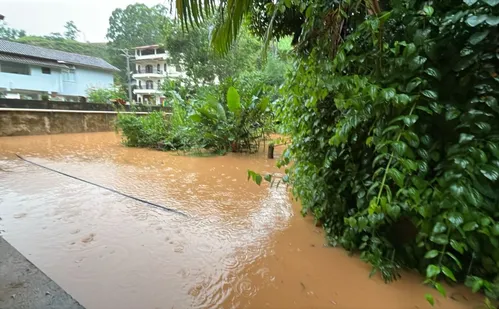 
          Imagem ilustrativa da imagem Museu de Biologia de Santa Teresa suspende visitas após enchente
          