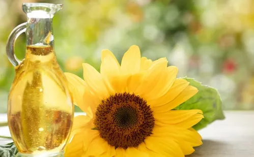 
          Imagem ilustrativa da imagem Novo estudo aponta alimentos que podem evitar 19 tipos de câncer
          