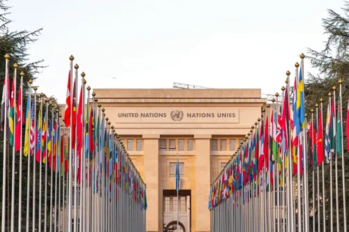 
          Imagem ilustrativa da imagem ONU declara 2025 como o Ano das Cooperativas
          