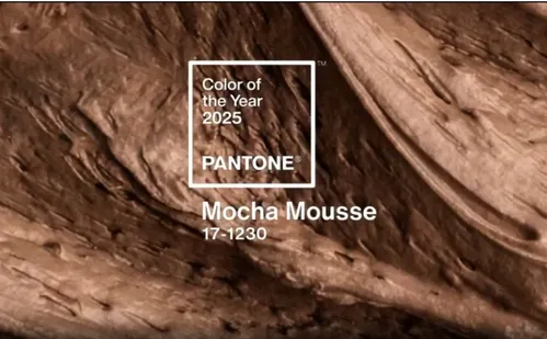 
          Imagem ilustrativa da imagem Pantone declara 'Mocha Mousse', marrom suave e evocativo, como a cor do ano
          