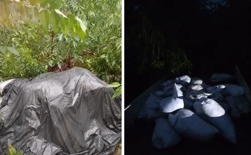 
          Imagem ilustrativa da imagem Quatro suspeitos são presos após roubo de 5 toneladas de pimenta no Noroeste do ES
          