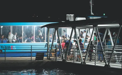 
          Imagem ilustrativa da imagem Casagrande: Aquaviário vai funcionar de madrugada durante o Carnaval de Vitória
          