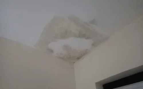 
          Imagem ilustrativa da imagem Falta de pedreiros adia reformas e aumenta custos de obras no Espírito Santo
          