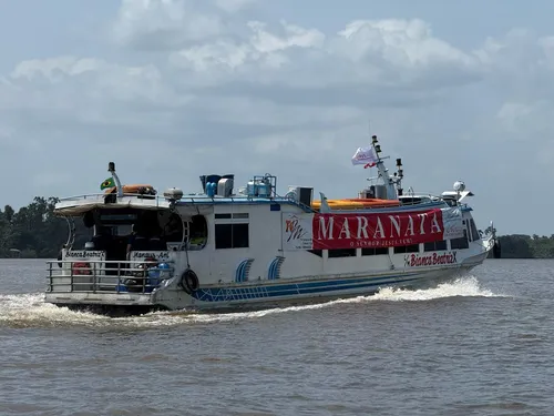 
          Imagem ilustrativa da imagem Série sobre Apocalipse já foi assistida  580 mil vezes
          