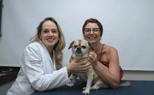 
          Imagem ilustrativa da imagem Sinais de que seu pet está perdendo a visão
          