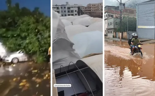 
          Imagem ilustrativa da imagem Temporal destrói estruturas, derruba árvores e alaga ruas no ES
          