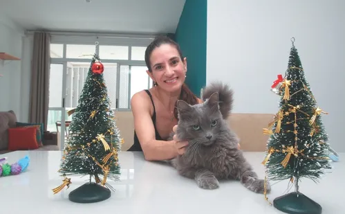 
          Imagem ilustrativa da imagem Veterinários apontam cuidados com os pets nas festas de fim de ano
          