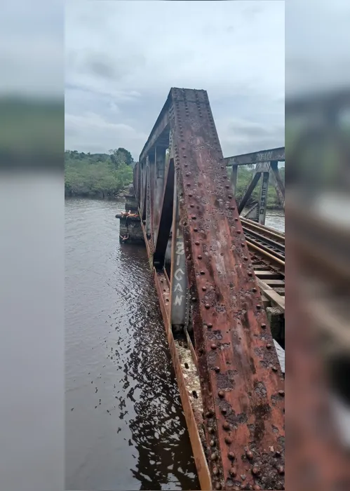 Imagem ilustrativa da imagem Mulher cai de ponte ao tirar foto e se segura em cadarço até ser resgatada por bombeiro; veja vídeo