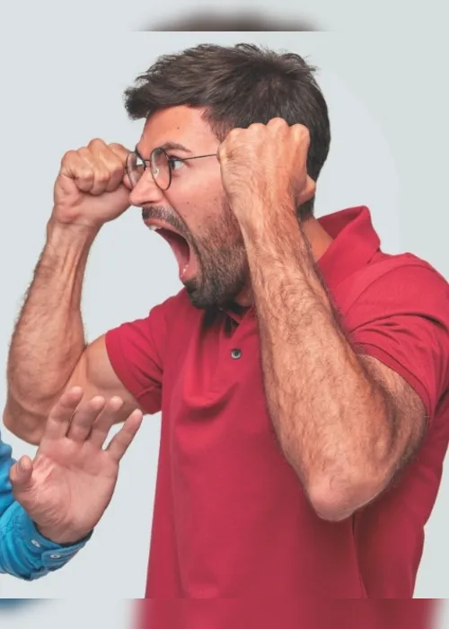 Imagem ilustrativa da imagem Sobreviver ao Natal: Eu também briguei, tá?
