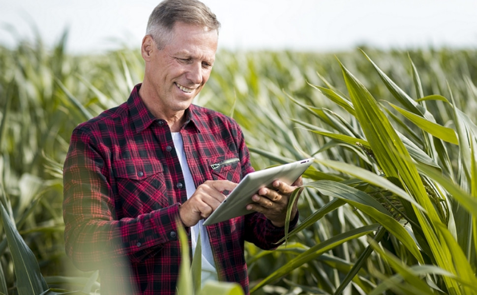 Os 2 Setores Mais Bem Remunerados em 2025: Agronegócio e Tecnologia