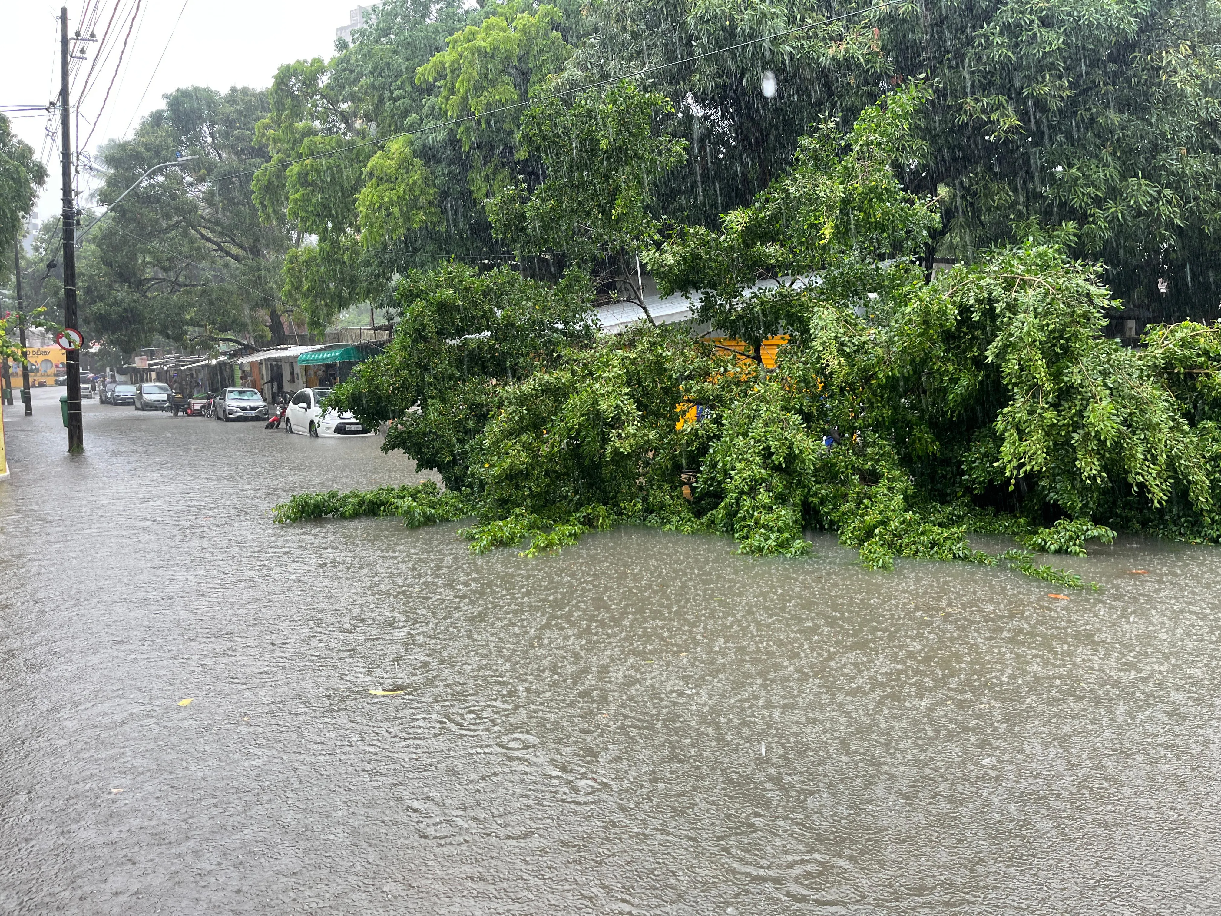 Imagem ilustrativa da imagem Chuvas voltam a castigar; Recife em Alerta Máximo; Inmet emite Alerta Vermelho